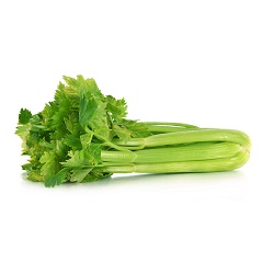/media/plants/celery.jpg